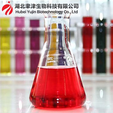 番茄红色素有哪些营养价值