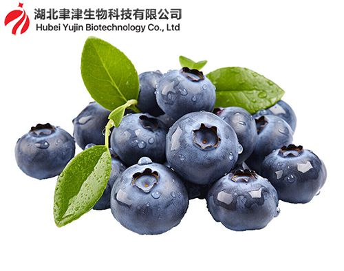 甜菜红素与花青素有什么差异